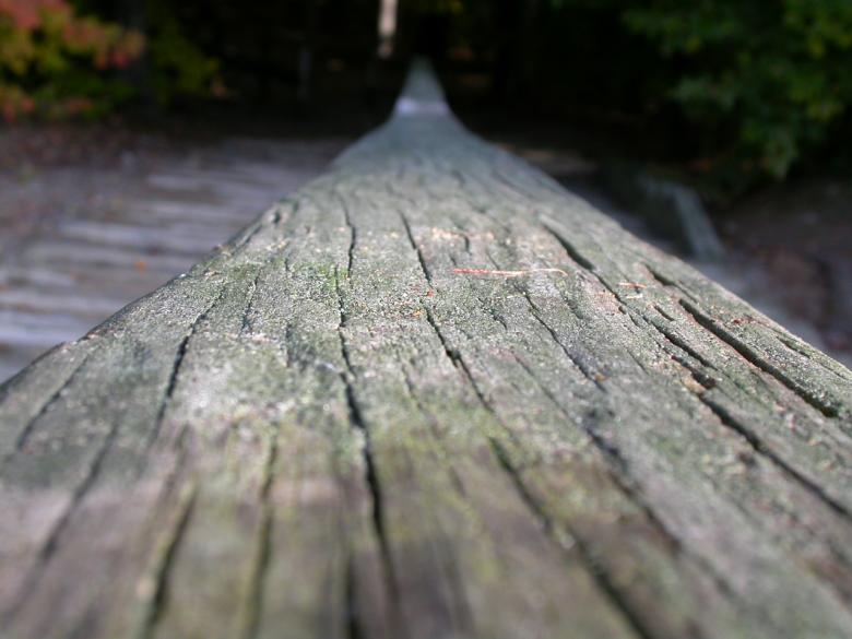 Free stock image of Wood texture created by raymond henry