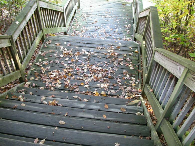 Free stock image of Wood stairs created by raymond henry