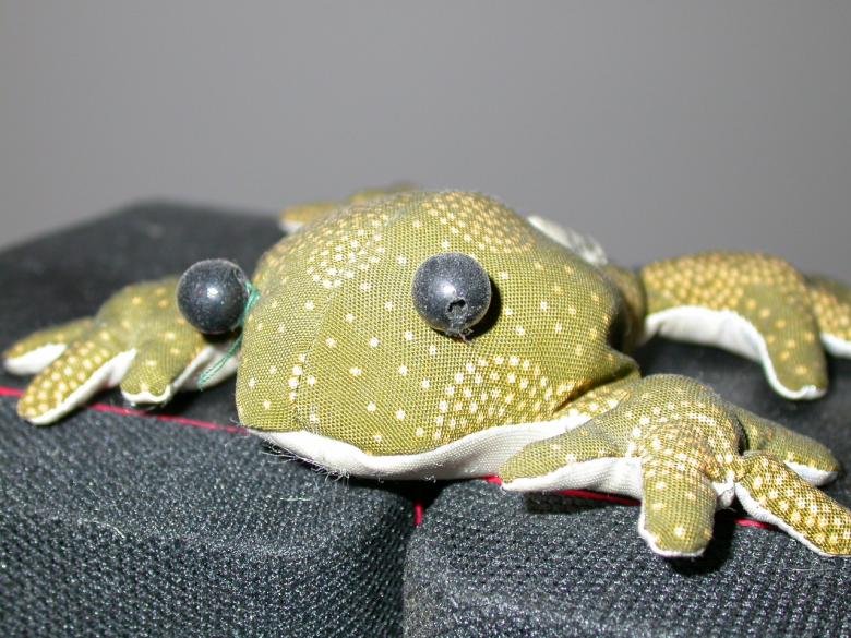 Free stock image of Stuffed frog created by raymond henry