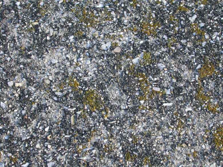 Free stock image of Ground Texture created by raymond henry