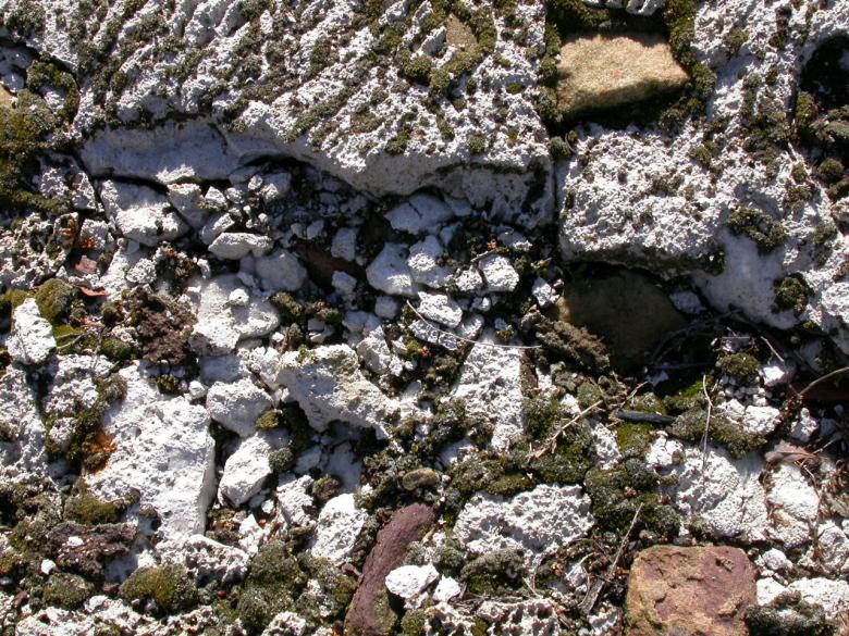 Free stock image of Ground Texture created by raymond henry