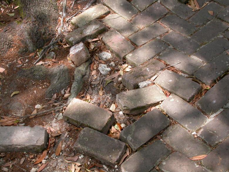 Free stock image of Brick walking path created by raymond henry