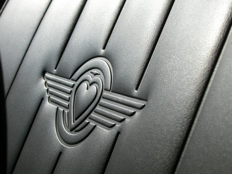 Free stock image of Leather Textire created by raymond henry