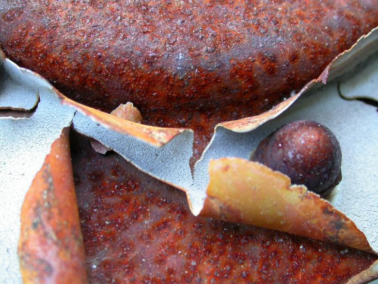 Free stock image of Cracked painting on rusted metal created by raymond henry