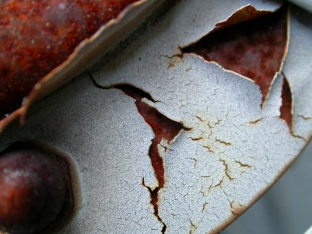 Free Stock Photo of Cracked Paint