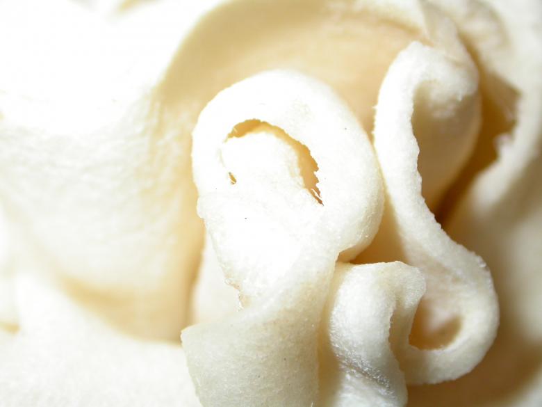 Free stock image of White Organic Texture created by raymond henry