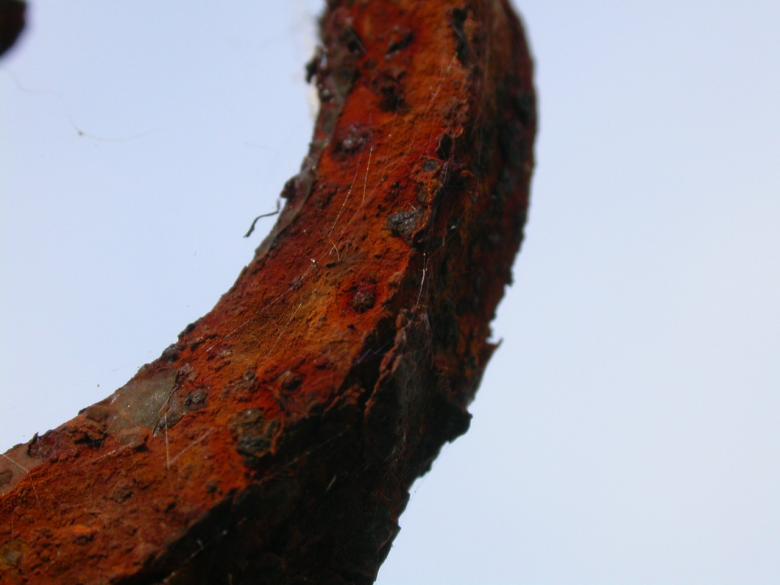 Free stock image of Rusted metal created by raymond henry