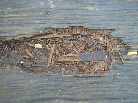 Free Stock Photo of Wood texture