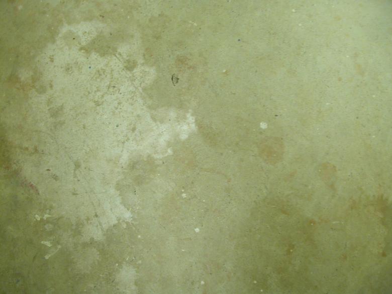 Free stock image of Green concrete wall created by raymond henry