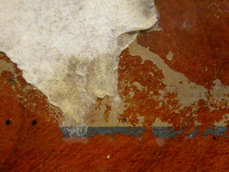 Free stock image of Grunge Wall Texture created by raymond henry