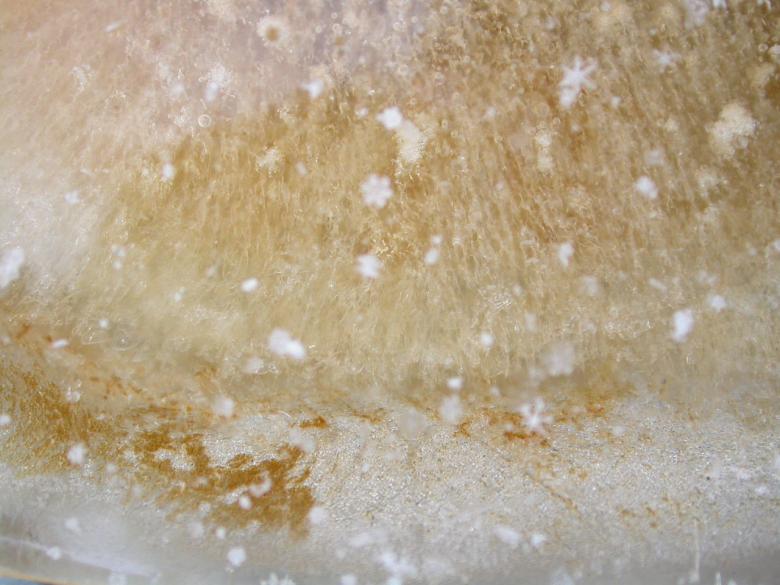 Free stock image of Ice closeup created by raymond henry