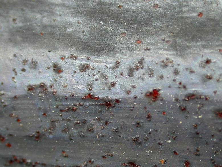 Free stock image of Metal Texture created by raymond henry