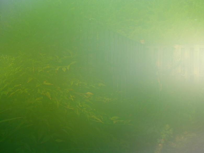Free stock image of Greenish window created by raymond henry