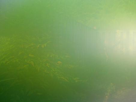 Greenish window - Free Stock Photo