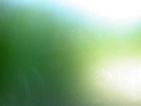 Greenish window - Free Stock Photo