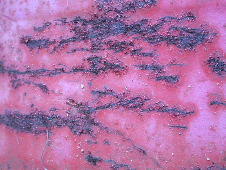 Free stock image of Red Rust created by raymond henry