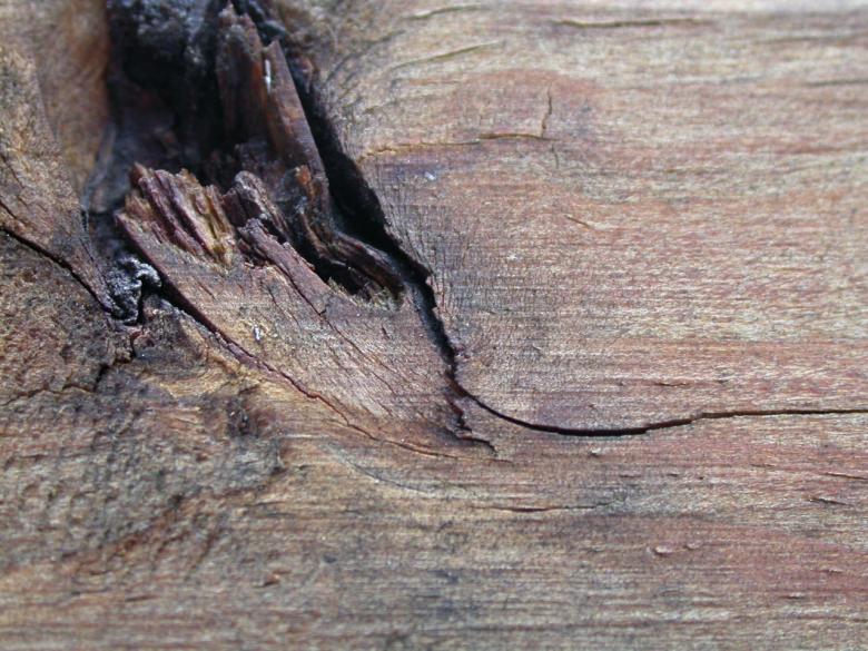 Free stock image of Wood texture created by raymond henry