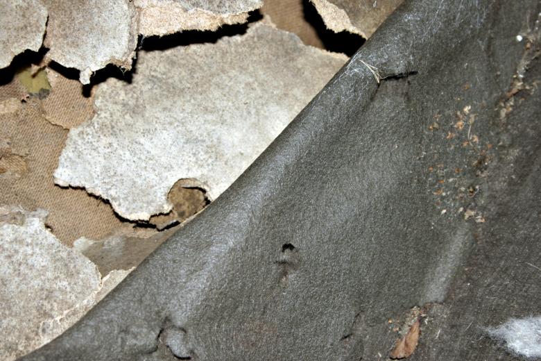 Free stock image of Burned materials created by Bjorgvin