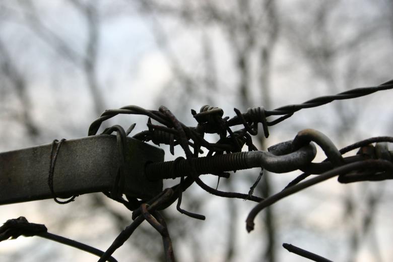 Free stock image of Barb wire created by allan toft pedersen