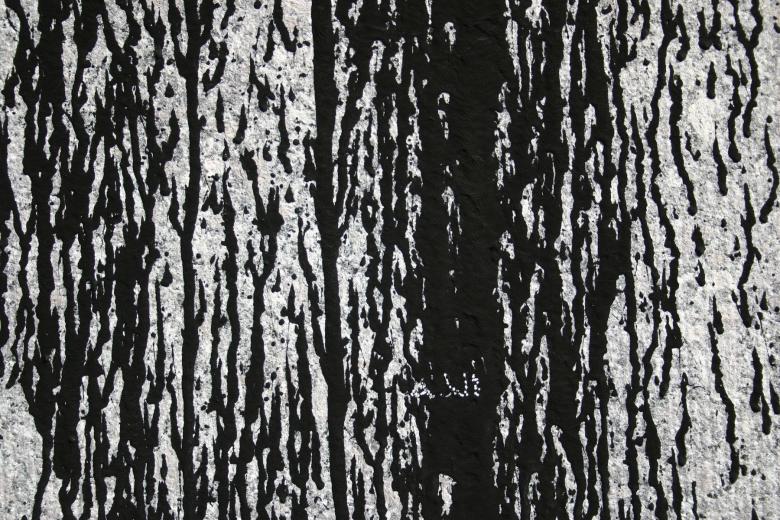 Free stock image of Black &amp; white texture created by allan toft pedersen