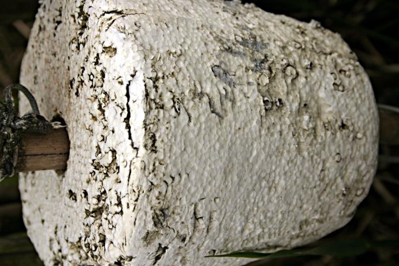 Free stock image of Dirty plastic cork created by Bjorgvin
