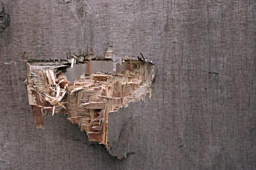 Free Stock Photo of Cracked wooden plate
