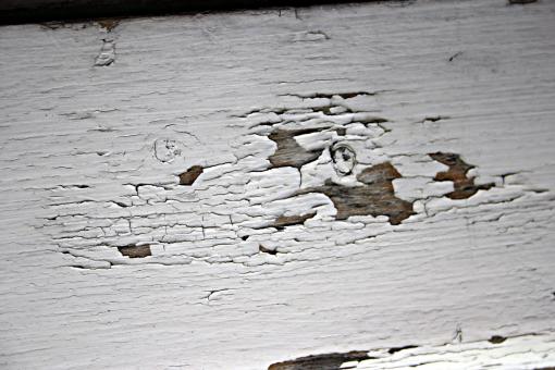 Free Stock Photo of Peeled paint on wood