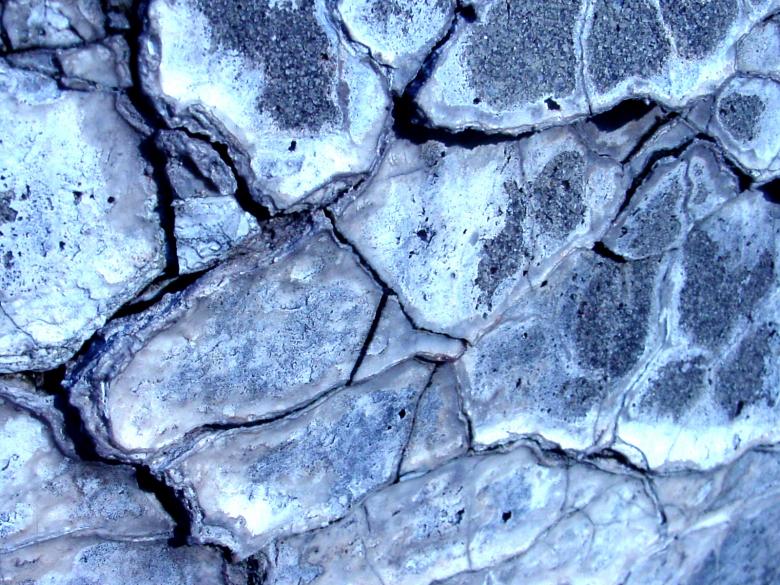Free stock image of Cracked wall created by Darren Hester