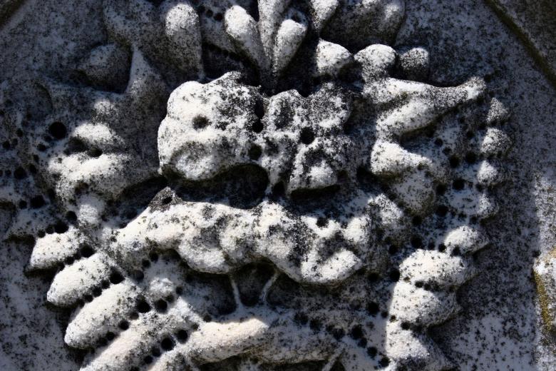 Free stock image of Carvings created by Darren Hester