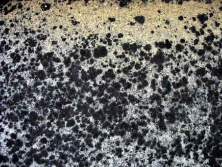 Free Stock Photo of Dotted surface