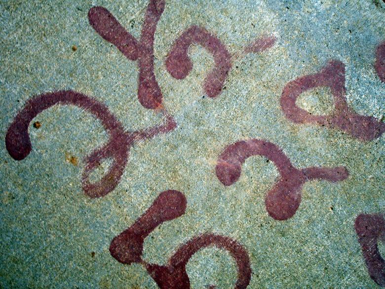 Free stock image of Numbers on the wall created by Darren Hester