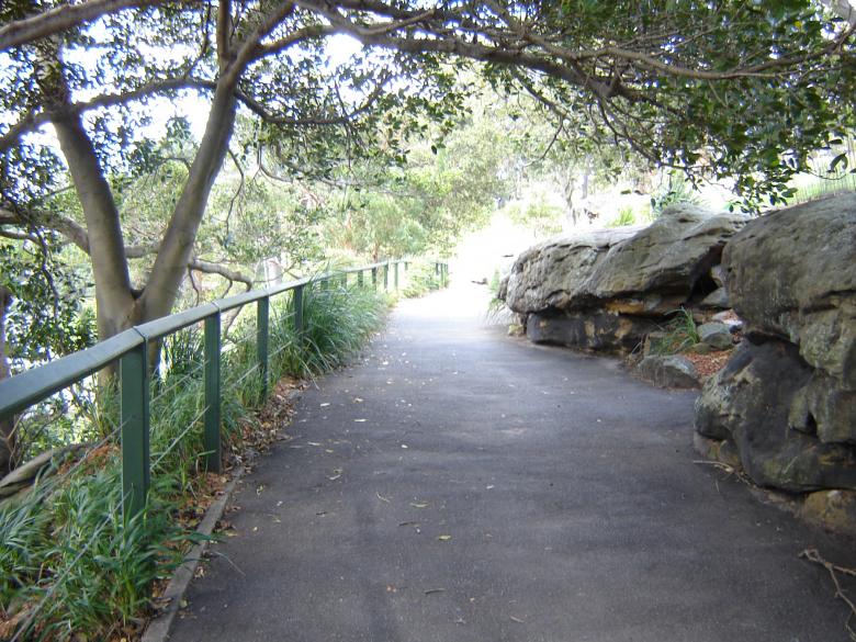 Free stock image of Asfalt walking path created by Osama Hasan Khan