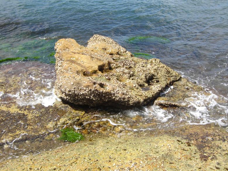 Free stock image of Rock at the beach created by Osama Hasan Khan