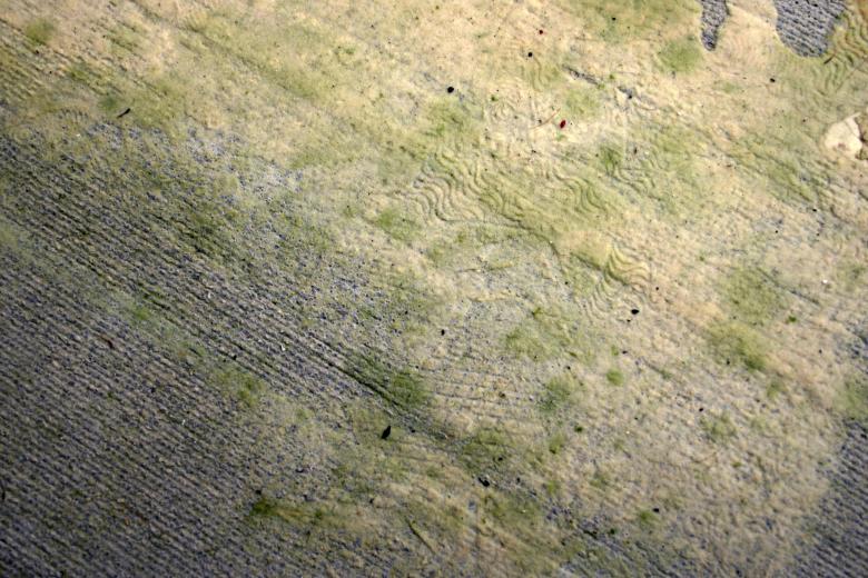Free stock image of Wet carpet underlay created by Bjorgvin