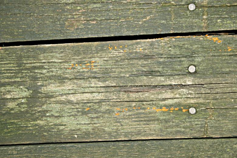 Free stock image of Molded wood panel created by Bjorgvin