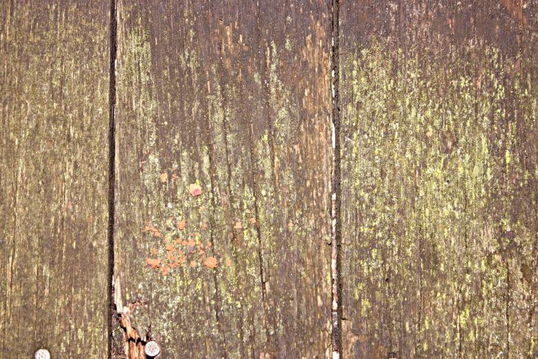 Free stock image of Molded wood panel created by Bjorgvin