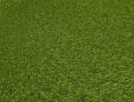 Free Stock Photo of Grass