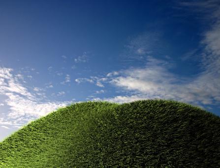 Free Stock Photo of Green field