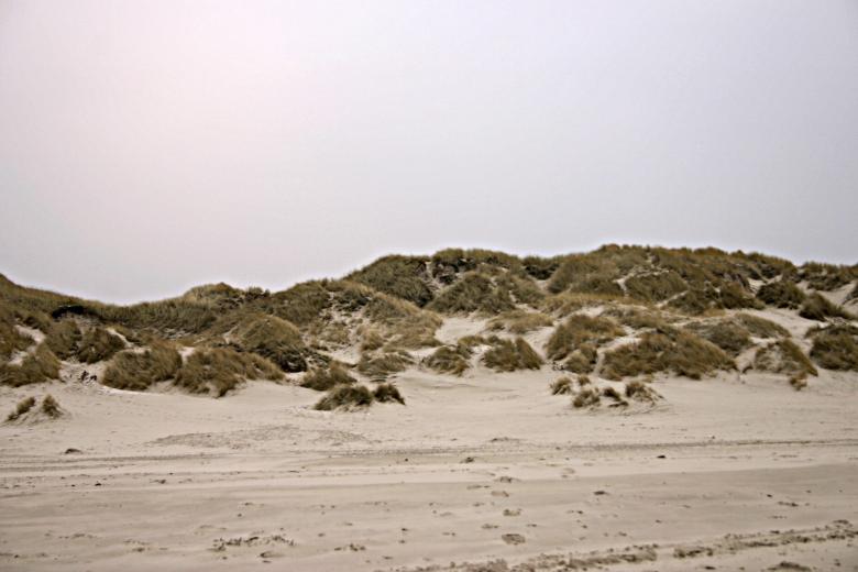 Free stock image of Sand dunes created by Bjorgvin