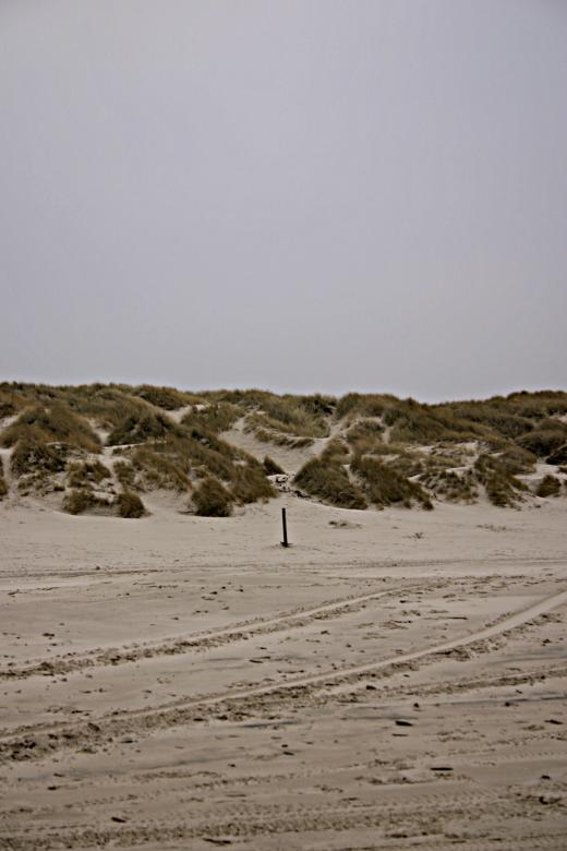 Free stock image of Sand dunes created by Bjorgvin