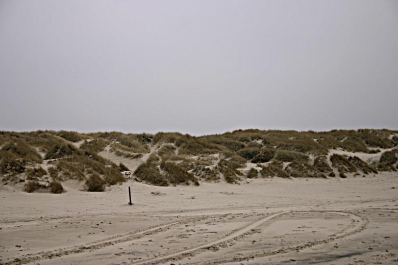 Free stock image of Sand dunes created by Bjorgvin