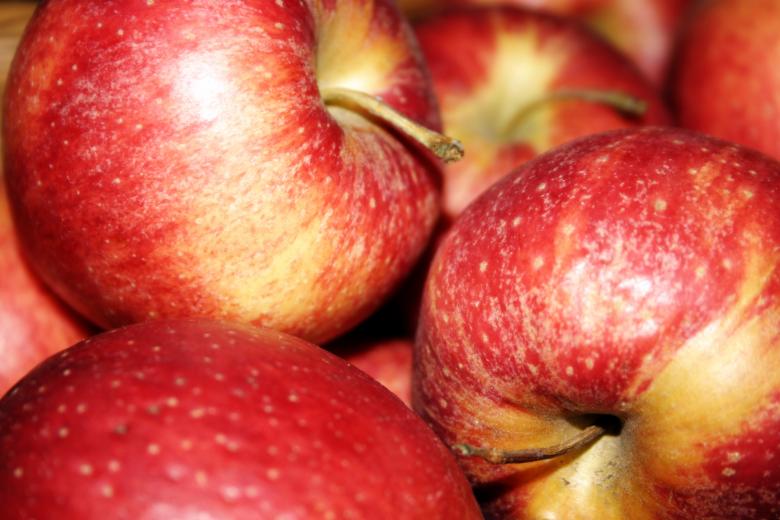 Free stock image of Red apples created by Bjorgvin