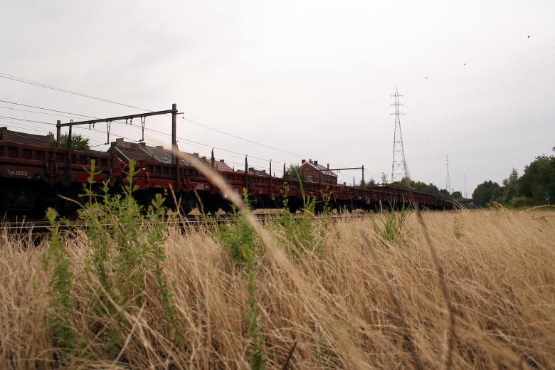 Free stock image of Train, still on it\'s track created by damien van holten