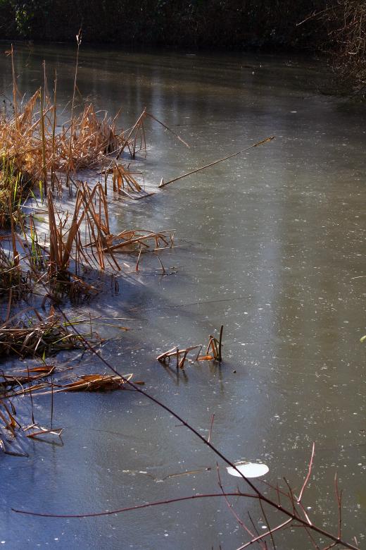 Free stock image of Detail frozen pond created by damien van holten