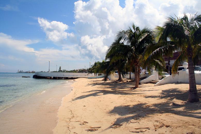 Free stock image of Tropical beach with palm trees created by damien van holten