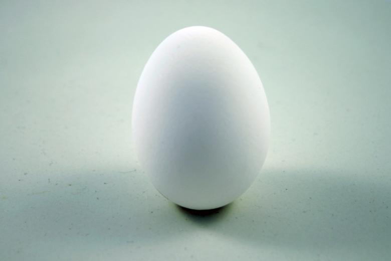 Free stock image of Egg created by Bjorgvin
