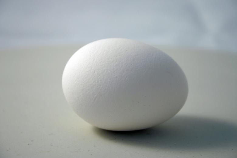 Free stock image of Egg created by Bjorgvin