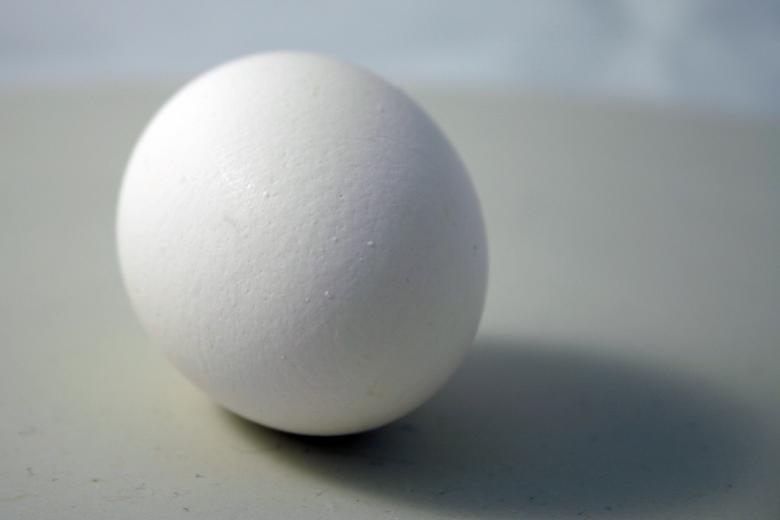 Free stock image of Egg created by Bjorgvin