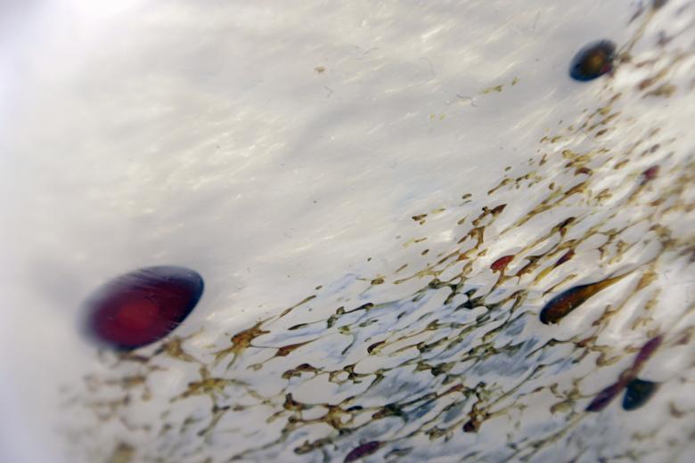 Free stock image of Glass texture created by Bjorgvin