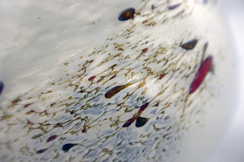 Free stock image of Glass texture created by Bjorgvin